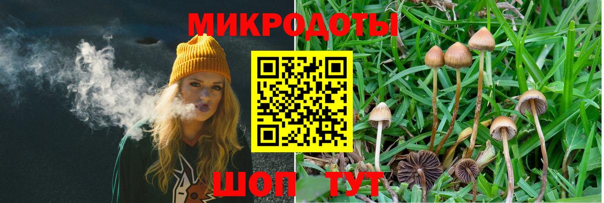 Аша  Псилоцибиновые грибы мицелий  Вход с VPN 