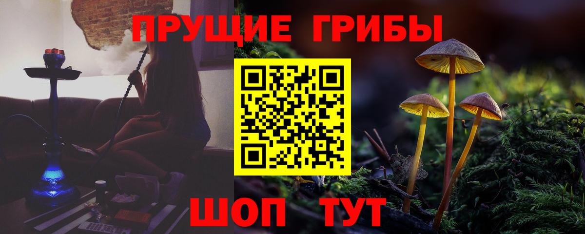 Псилоцибиновые грибы Cubensis Аша